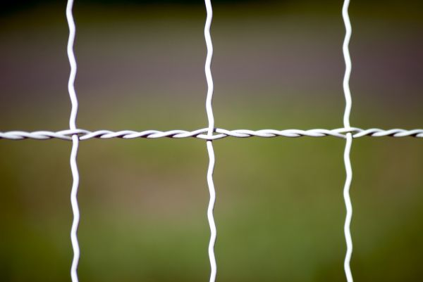 Woven Wire Fencing Install