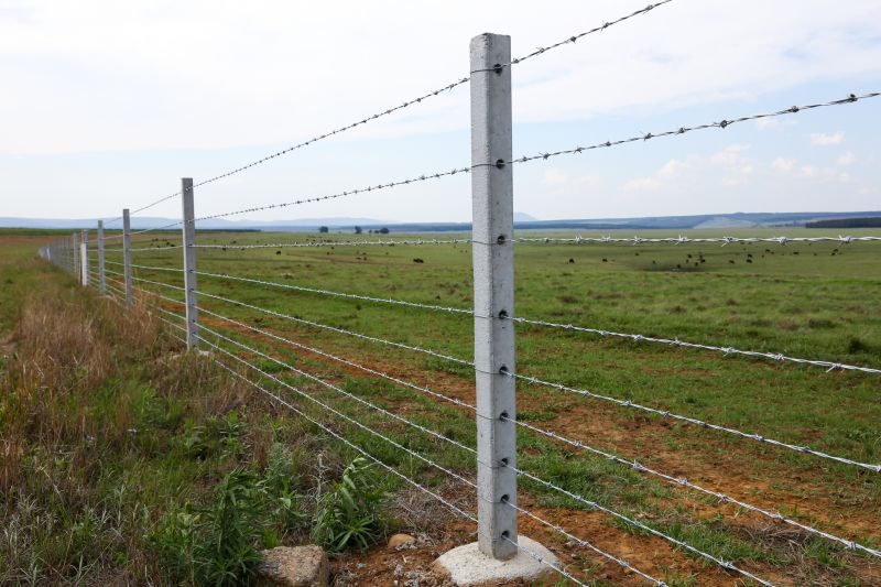 Cattle Fence Replacement
